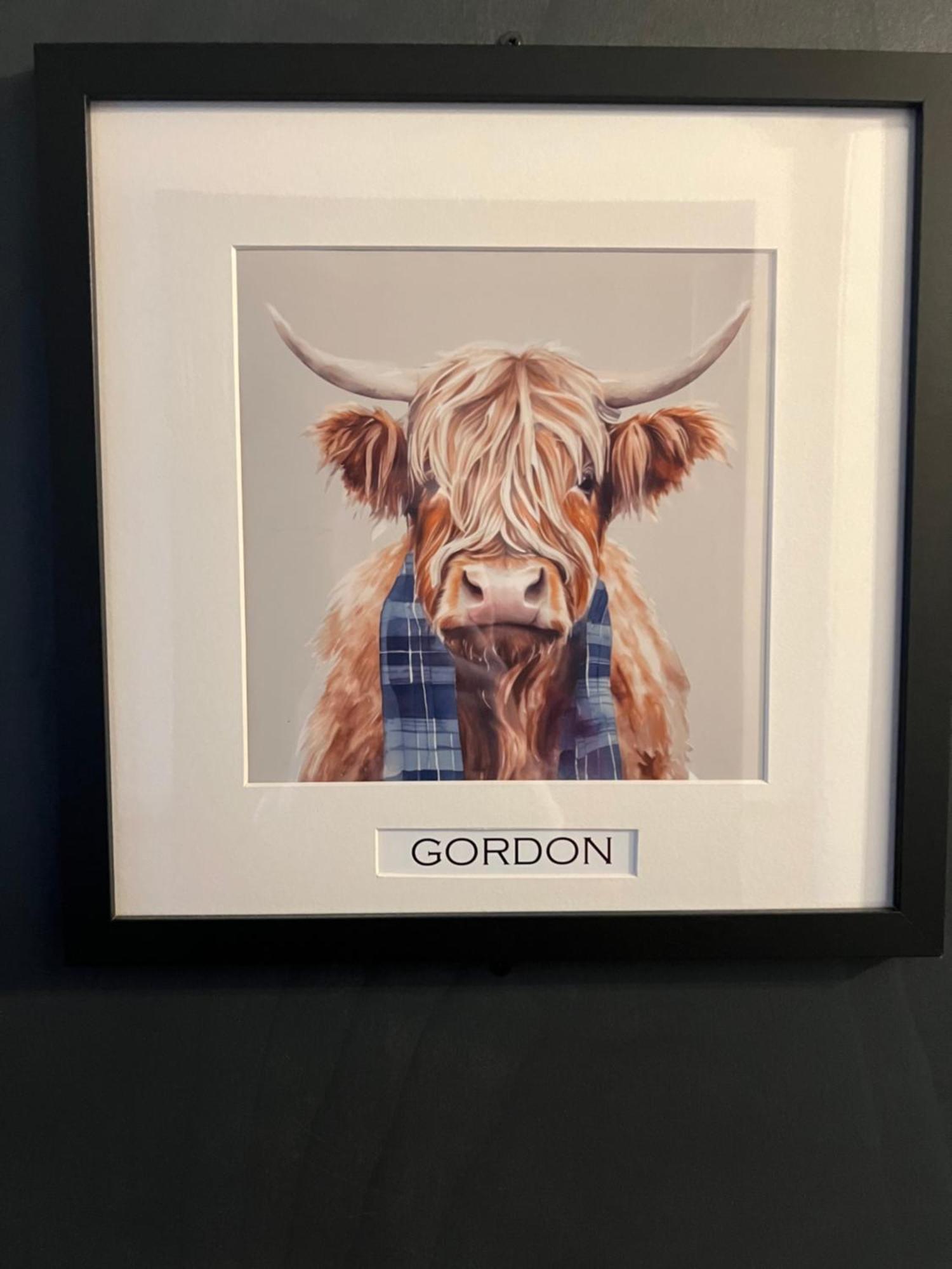 'Gordon' In Allandale Aparthotel 오치터라더 외부 사진